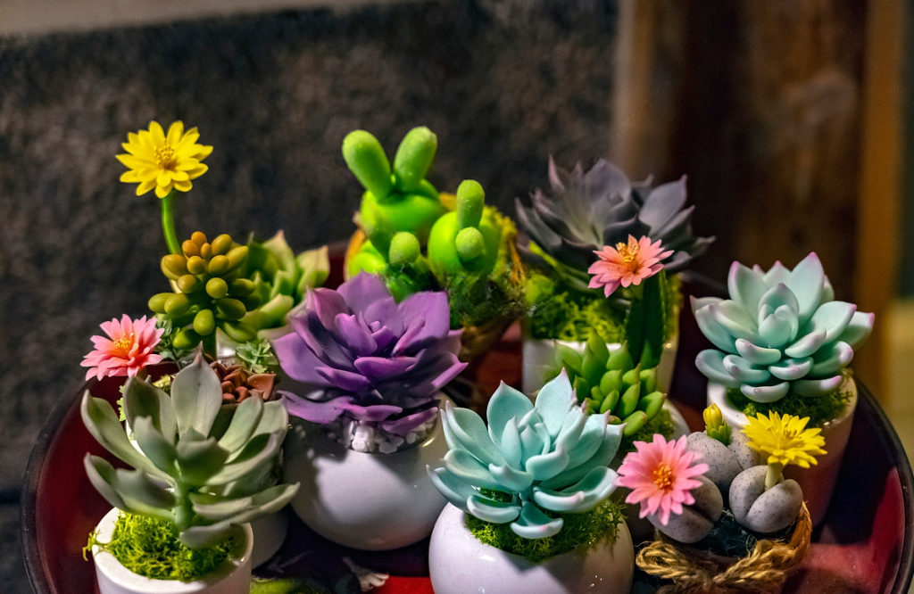flowers