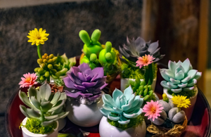 flowers