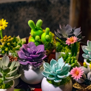 flowers