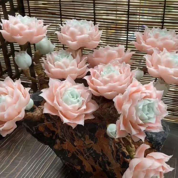 flowers flowers