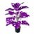 18 purple turtle dorsal leaves 76CM (without pot)