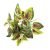 33cm7 fork red heart leaves (single bunch without pot)