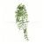 65CM snow peas (with pot)