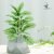 28 mesh white velvet 30CM (without basin)