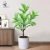 54 mesh white velvet 60CM (without basin)