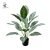 18 white gemstones evergreen (without basin)