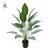 24 white jewels evergreen (without basin)