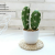 (1 basin box) JH2407 Simulated Cactus Bonsai (Plastic Pot Large)