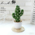 (1 basin box) JH2410 Simulated Cactus Bonsai (Plastic Pot Large)