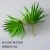 Medium sword grass