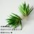 Greatsword grass green