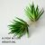 Greatsword grass green