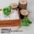 White thorn double ball cactus