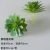 New talian gray-green