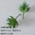 Small-thorn aloe vera grayish-green