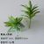 Wild beauty gray-green