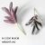 Pepper grass (flocking)
