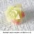 Rose (flocking)