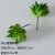 Tien Shan snow lotus green