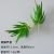 Aloe vera green