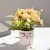 2497525 oil painting peony small bonsai