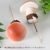 5.5cm pink mushroom