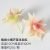 Small-mouthed aloe vera Benga red (flocked)