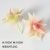 Small-mouthed aloe vera Benga red (flocked)