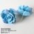 Snow rose blue flocking