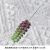 Wheat ears green purple (flocked)