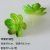 Apple leaves green
