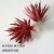 Greatsword grass red