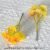 Mini bellflower yellow