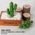 3 pronged cactus medium