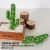 White thorn 3-pronged cactus large