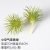 Small air grass yellow-green
