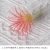 Small air grass pink
