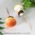 4cm orange mushroom