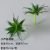 Small aloe vera gray-green