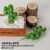 White thorn 3-pronged cactus medium