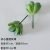 Happy lotus stamen gray-green