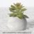 Talian small cement ball