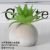 Small aloe vera green small cement ball