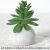 Add a small green cement ball with a piece of talisman