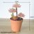 New Talian orange bonsai