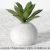 Small sharp lotus green cement ball