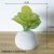 Desert rose small cement ball