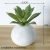 Small sharp lotus green cement ball